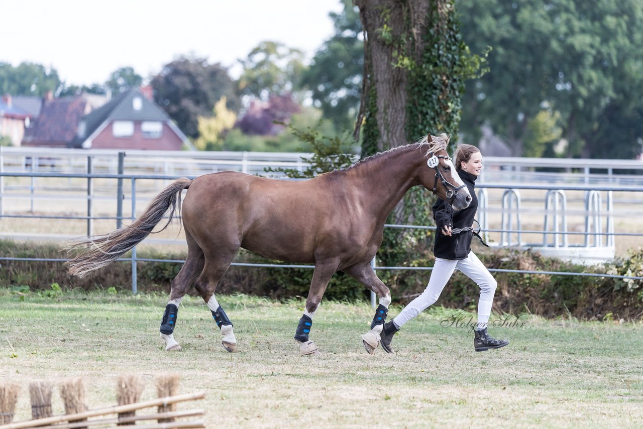 Bild 6 - Pony Akademie Turnier